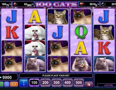 100 Cats Slot - Play Online