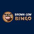 Brown cow bingo casino app