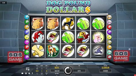 Dog Pound Dollars Bwin