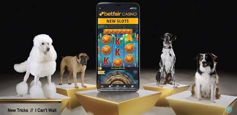 Dog Town Deal Betfair