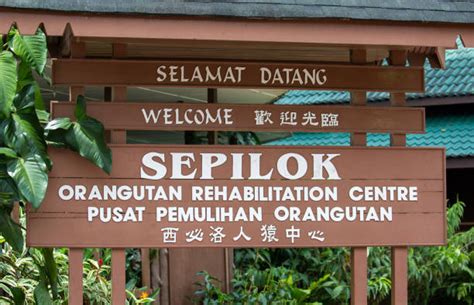 Jogo centros de reabilitação malásia