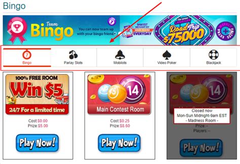 More than bingo casino download