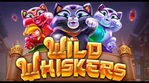 Whisker wins casino mobile